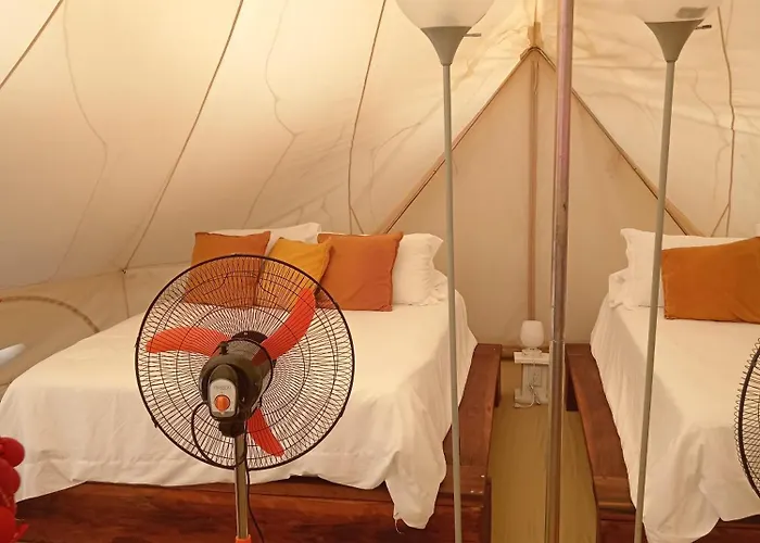 Guanaglamp Tamarindo